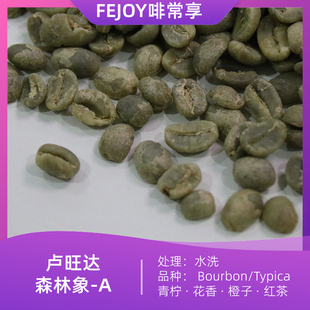25季卢旺达森林象A 水洗咖啡生豆波旁铁皮卡 青柠|花香|橙子|红茶