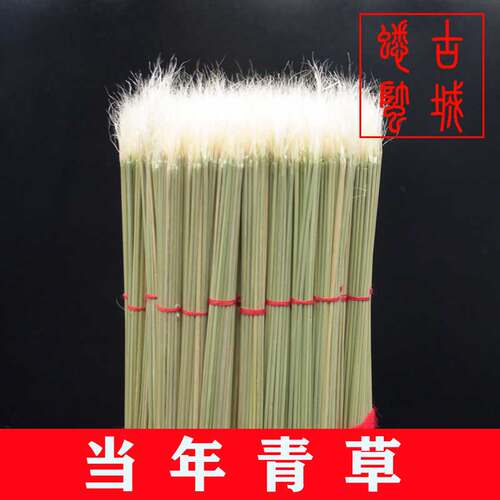 斗蛐蛐须子蟋蟀草开牙