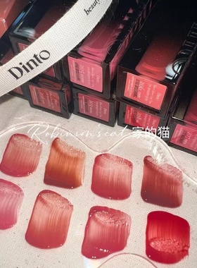 【文佳瑛同款】韩国 DINTO水光镜面唇釉滋润保湿205/206/207/211