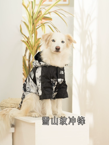 Летняя куртка, ветрозащитный водонепроницаемый летний дождевик с капюшоном, подходит для подростков