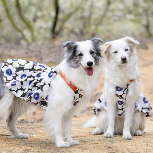 大型犬中型犬狗狗裙子边牧衣服萨摩耶拉布拉多公主裙柴犬夏天蓬蓬