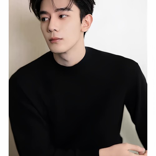 欧货明星同款半高领毛衣男士内搭