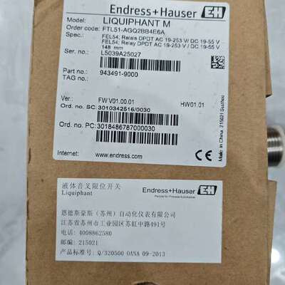 （议价)Endress+Hauser 音叉Order code：FT