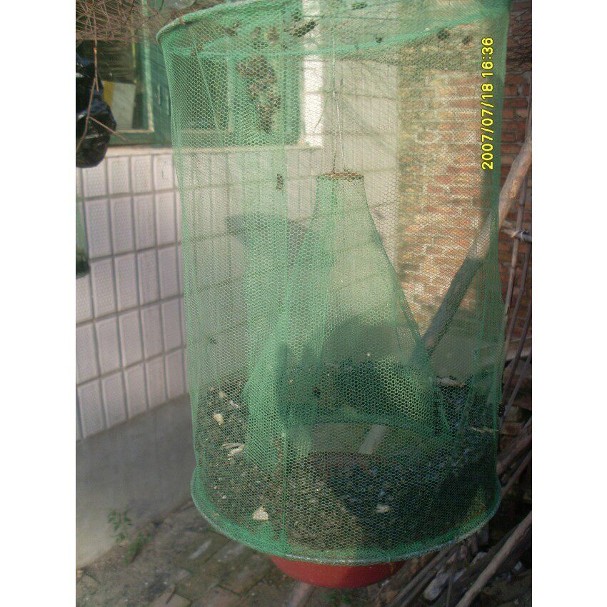 三个装 灭蝇神器养殖场室外捕蝇器诱蝇子悬挂式捕捉苍蝇笼子