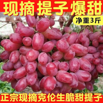 顺丰包邮现摘红提葡萄新鲜克伦生提子脆甜整串当季水果2/3/4/5斤