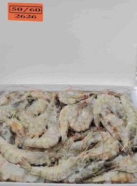 包邮桑塔盐冻大虾南美白对虾白虾餐饮火锅酒店食材