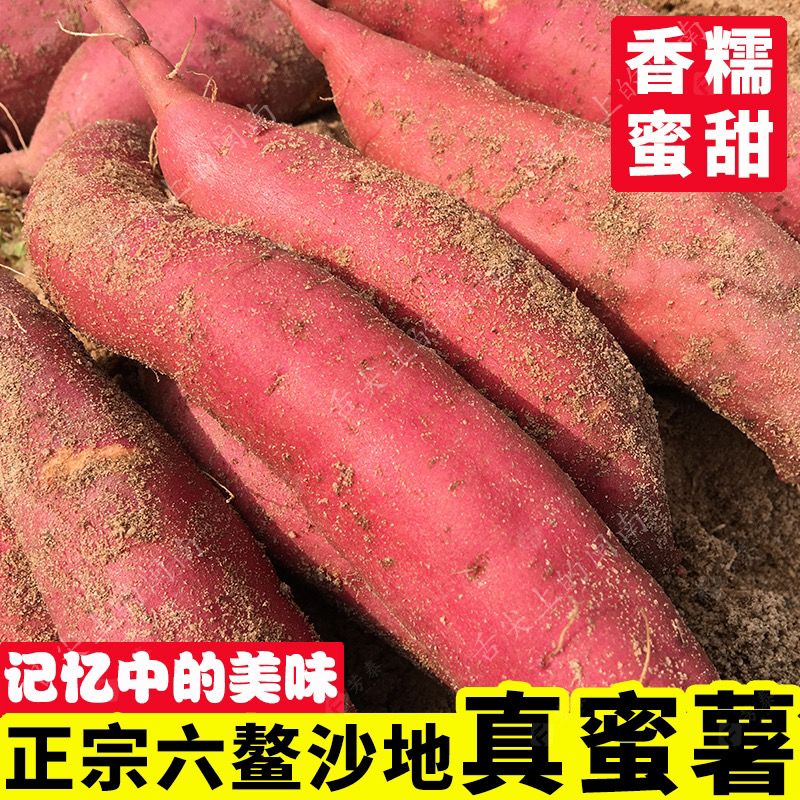 现挖正宗福建六鳌红蜜薯新鲜沙地当季地瓜红薯番薯山芋5/9斤包邮