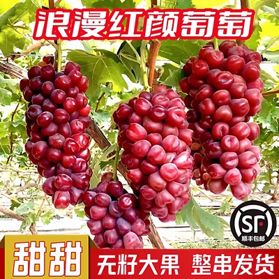正常发货顺丰包邮浪漫红颜爱心葡萄新鲜水果甜无籽提子整串4/5斤