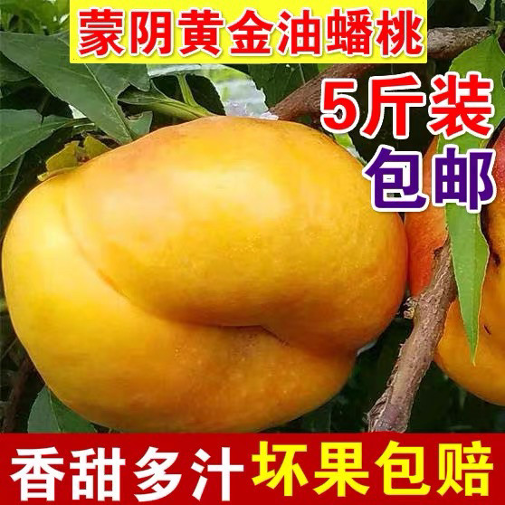 蒙阴黄油蟠桃新鲜孕妇脆甜蜜桃应季水果山东油桃当季黄蟠桃子扁桃