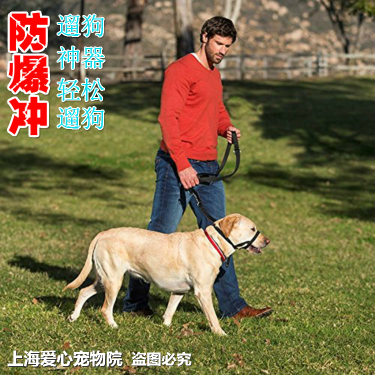 狗口环狗嘴环鼻环狗口套狗嘴套训犬防暴冲拉狗牵引绳遛狗神器包邮