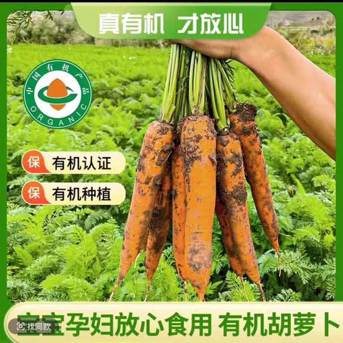 【EMS包邮】2026新内蒙古后窑子有机胡萝卜带泥新鲜孕妇宝宝辅食