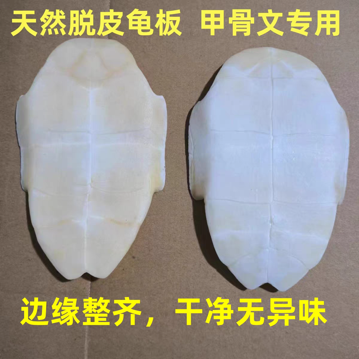 甲骨文龟板龟趣天然专用刻字描绘脱皮文教用品龟甲乌龟板手工diy,文具电教/文化用品/商务用品,教学标本/模型,淘宝优惠券,粉丝福利购,淘宝优惠卷