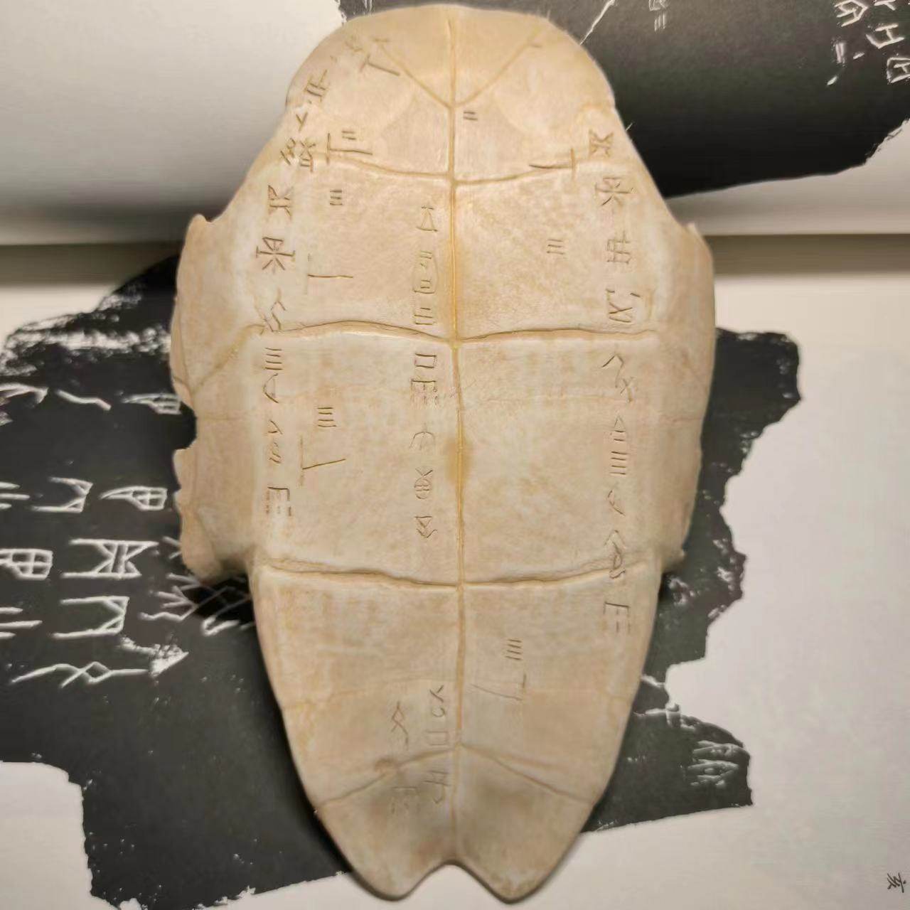 天然龟骨龟甲甲骨文手工刻写复古文教用品兴趣小众饰品