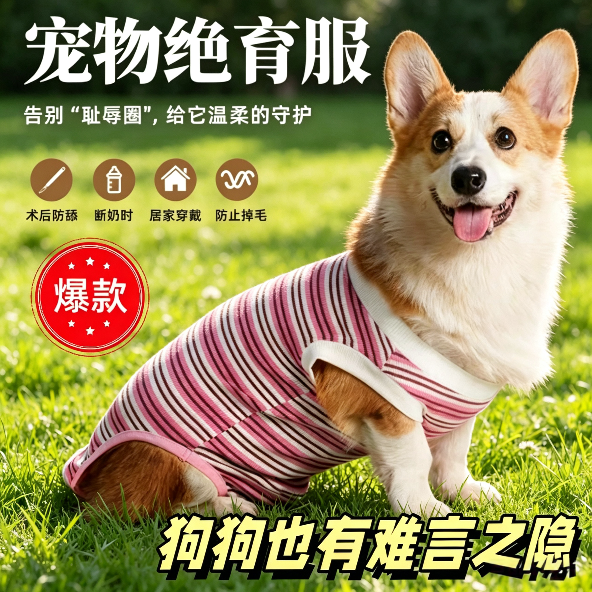中小型犬防舔咬透气生理裤