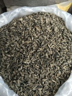 福建土特产武夷山优质椴木黑木耳小木耳鼠耳新木耳干货500g包邮