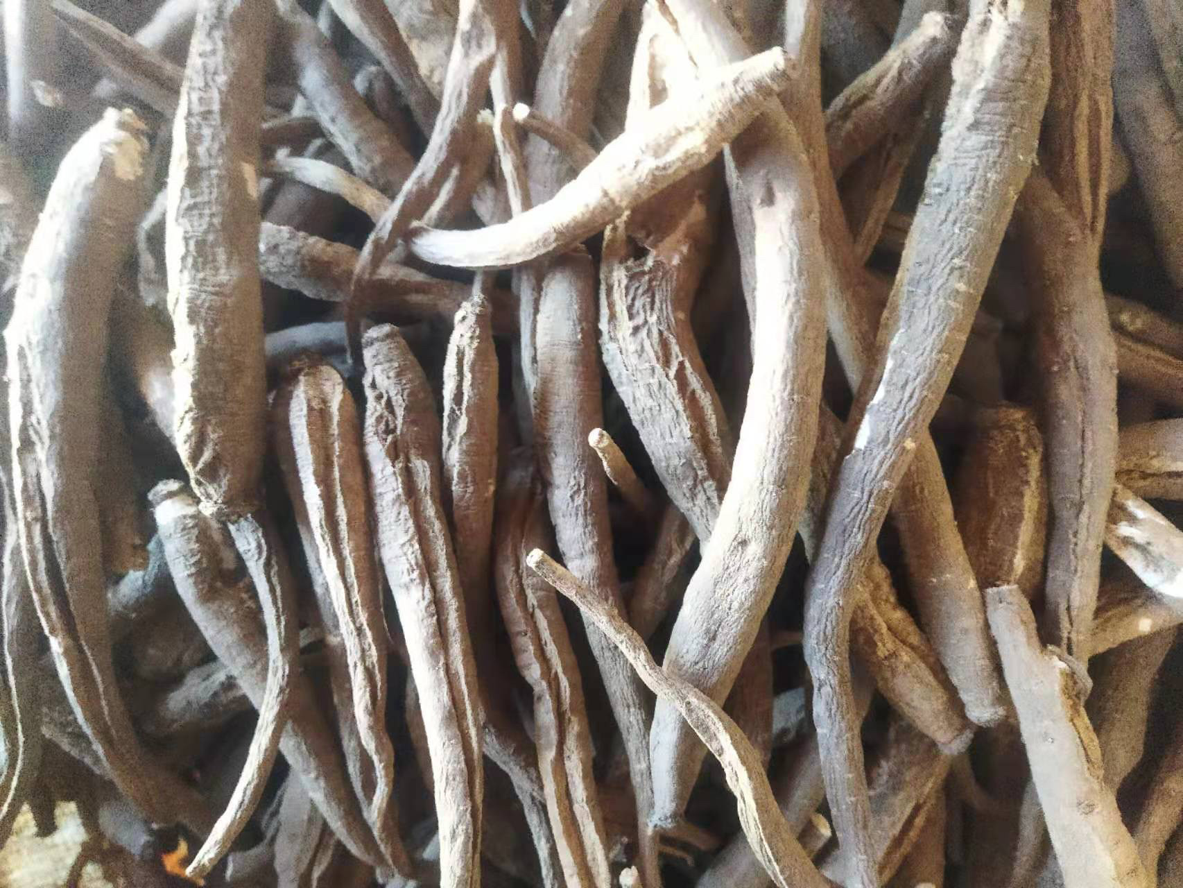 凉山高原种植独角甜当归自然晒干煲汤炖汤干货秦归1斤有裂口疤痕