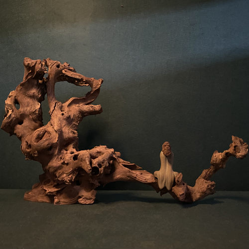 天然枯木根雕树根文玩手串灯架根雕摆件水族沉木造景非崖柏装饰