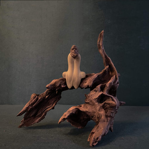 小号精品紫柚沉木水族箱