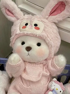 小红书同款莉娜熊熊玩偶衣服中号30cm娃衣手作网红贝儿帽毛衣套装