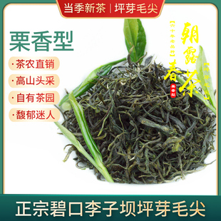 2025新茶陇南毛尖茶叶 陇南绿茶 陇南碧口李子坝毛尖茶500g包邮