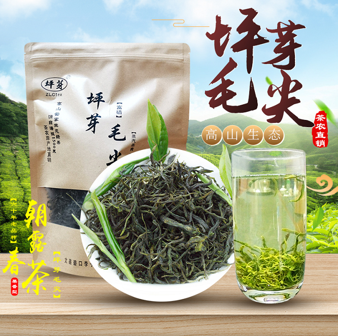 2026陇南毛尖毛峰绿茶碧口茶叶李子坝龙井43号毛尖茶叶500g包邮