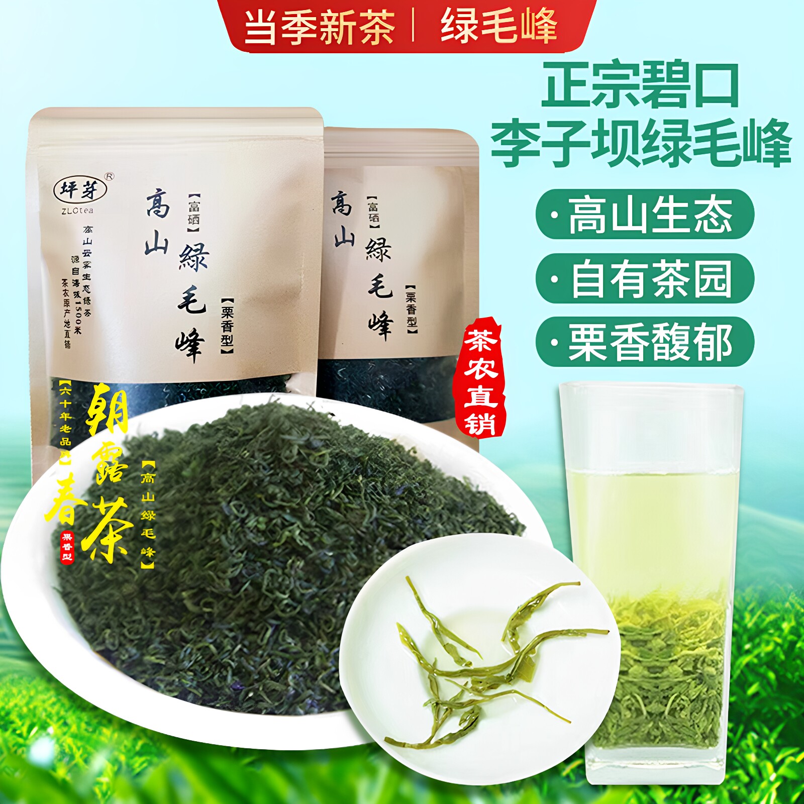甘肃陇南茶叶陇南毛尖碧口李子坝高山绿毛峰茶叶2026新茶500g包邮