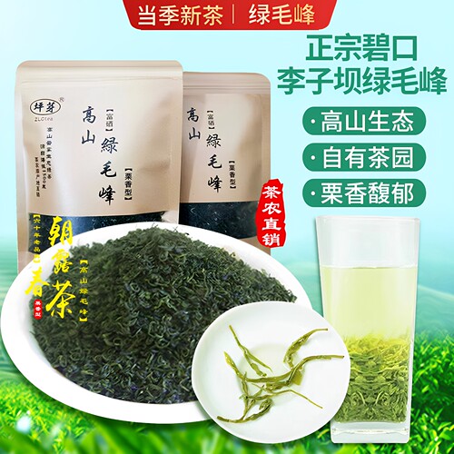 甘肃陇南李子坝绿毛峰包邮茶叶