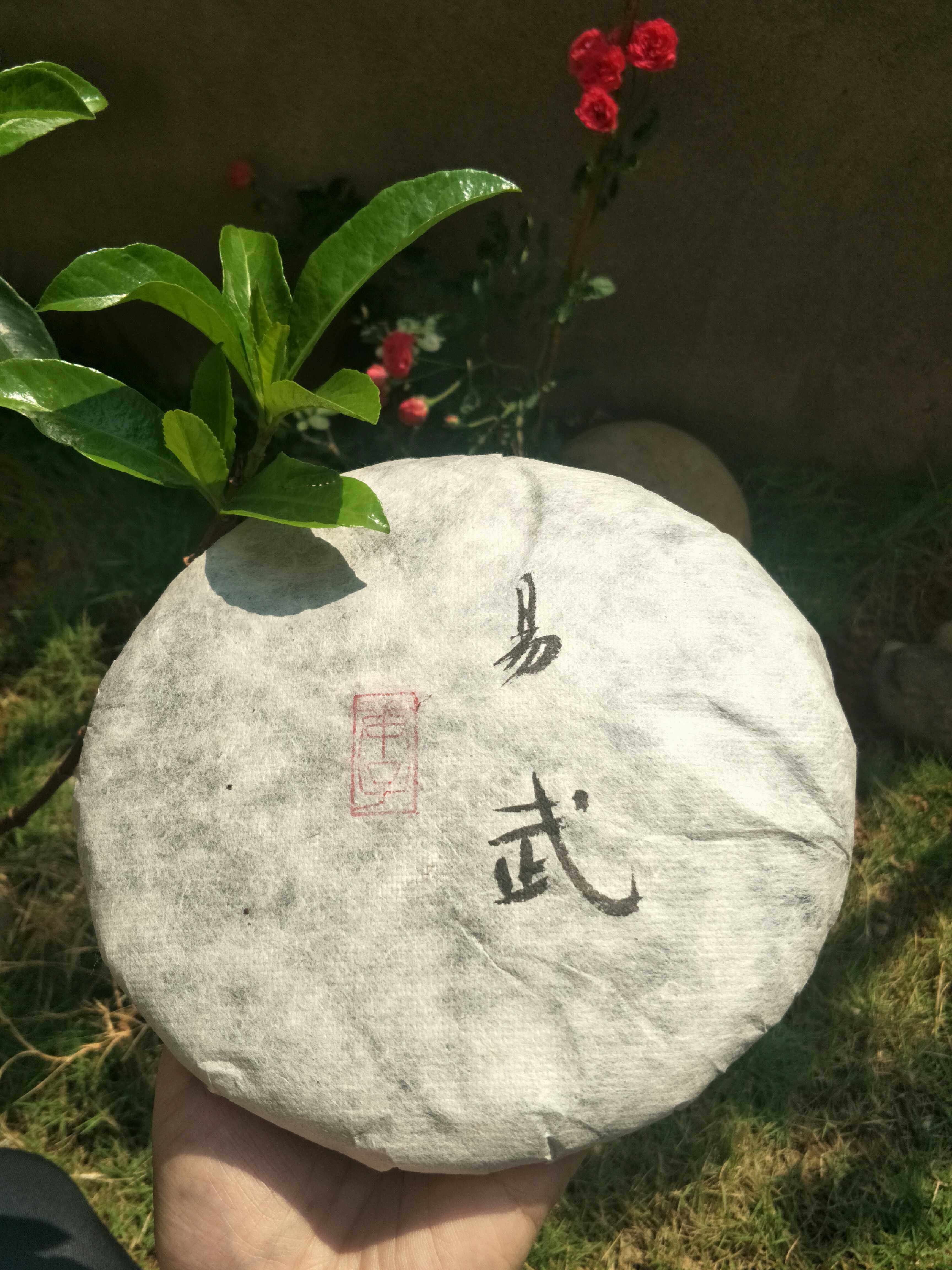 静闲堂2020早春易武生态乔木纯料357克 云南普洱生茶 柔甜回甘好