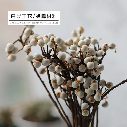 飞鱼手作干花白果6g果树枝蜡牌