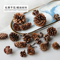 嬩 嬩 綔 忔 忔 忔 涧 鍦 鍦 呴 呴 呴 骞 灉 骞 骞 骞 姳铚 ＄ 硗 硗 柊铚 鏉愭 枡 gh100