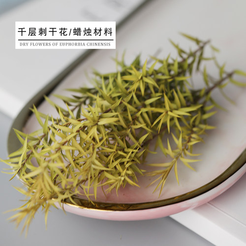 飞鱼手作 千层刺干花 香薰蜡烛DIY材料 干花圆柱蜡烛配件 GH92