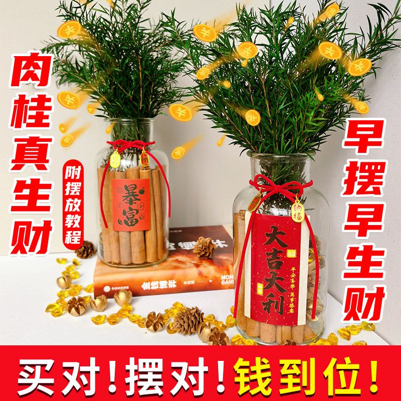 肉桂生财瓶摆件乔迁新居招财神
