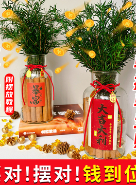 肉桂生财瓶摆件乔迁新居招财神