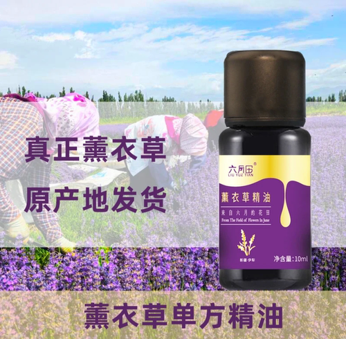 六月田鲜花提炼薰衣草精油单方