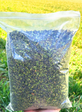 天然 浮萍草 紫色背青萍田萍 洗发用 250克