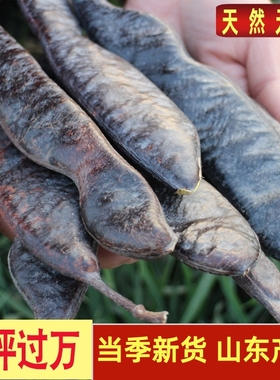 新货大皂角 整长皂角 皂荚碎块段天然中药材 外用洗发 皂角粉免煮