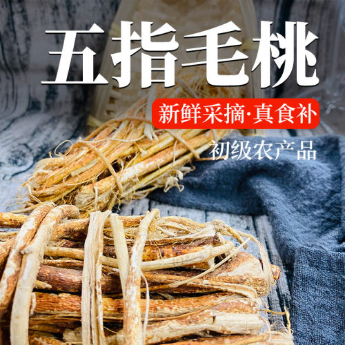 生五指毛桃根新鲜非特级农家干货