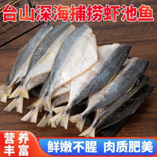 台山虾池鱼干500克活鱼腌制去头咸鱼干食用广东池鱼仔聂尾巴浪鱼