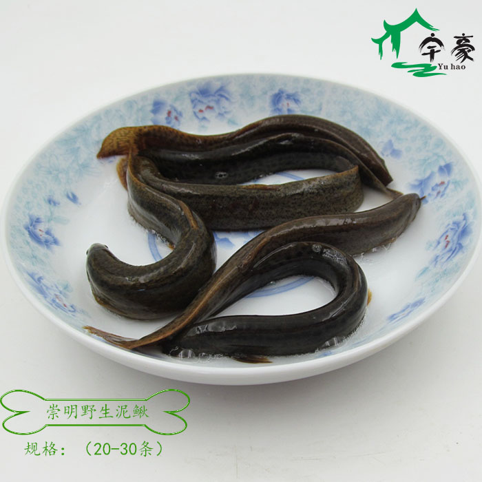 崇明野外食用黄泥鳅新鲜活水产鳅鱼河鲜青野泥鳅 500g（20-30）-封面