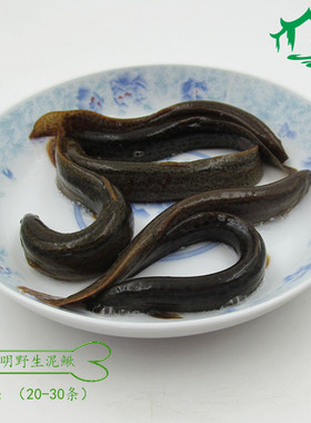 打窝挂钩黄泥鳅 新鲜活水产鳅鱼 河鲜钓翘嘴泥鳅 500g（40-60）