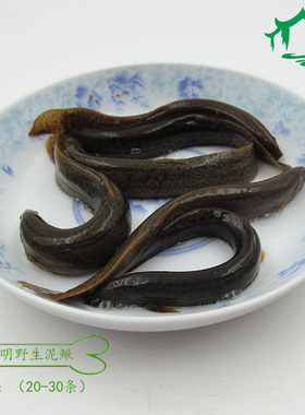 小泥鳅喂养打窝挂钩翘嘴