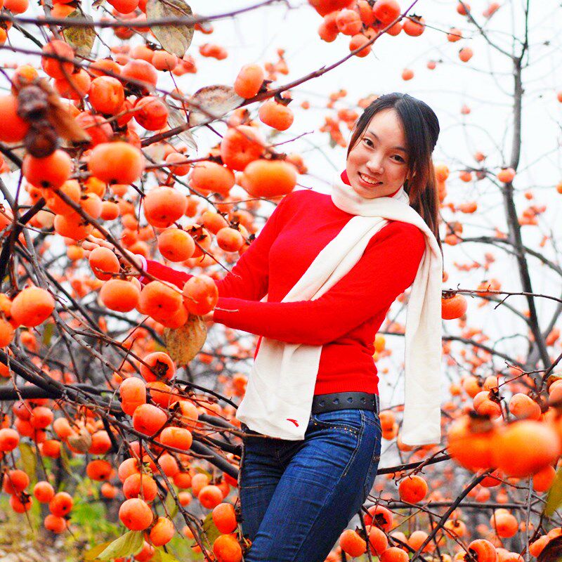 果树苗南北方种植甜脆嫁接辰枫