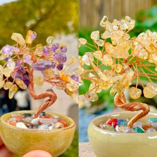 【蒸蒸日上】小才迷的爱 黄水水富桂树 桌面才才摆件 多宝摆件