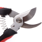 Один год Санхуа Магазин Цветочный художник филиалы и обрезка.