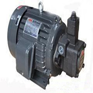 电机油泵组合2HP1.5KW+VP30叶片泵组 液压站专用全新现货