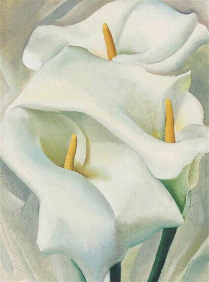 美国女画家欧姬芙花卉油画马蹄莲georgia okeeffe手绘临摹复制品