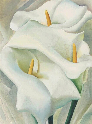 美国欧姬芙马蹄莲复制品花卉油画