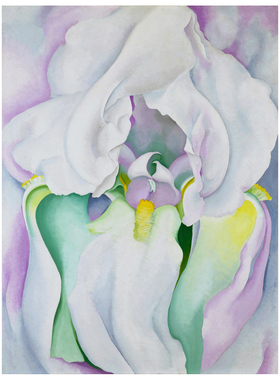 欧式油画鸢尾花装饰画欧姬芙Georgia O'Keeffe手绘临摹花卉卧室