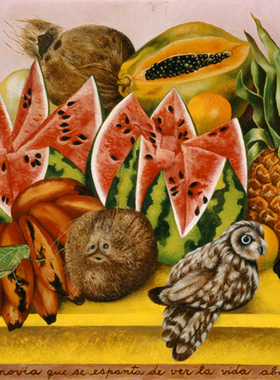 墨西哥女画家弗里达卡罗Frida Kahlo静物装饰油画名画临摹复制品