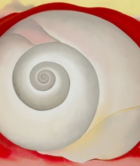 奥基夫Georgia O'Keeffe静物油画红色背景的白壳手绘临摹欧姬芙